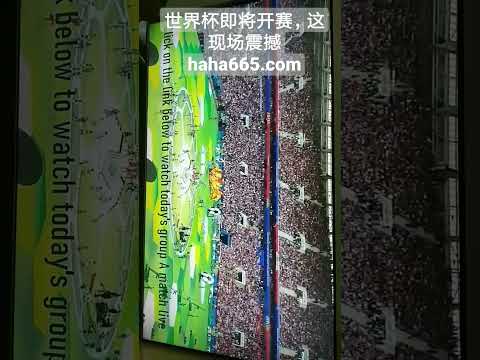 申花战术需,调整,替补席潜力,开云体育官网,开云体育App,开云体育直播,开云代理,开云入口